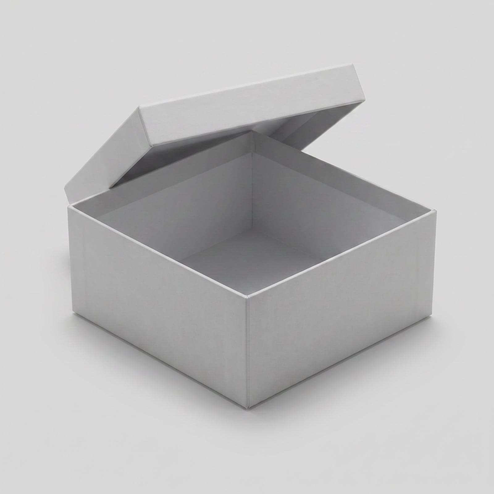 Rigid Box — angle 2